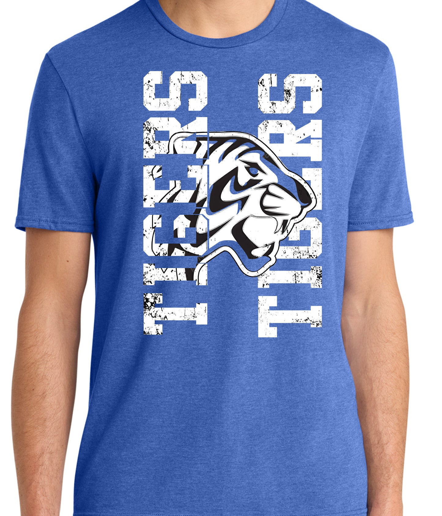 McCormick Tigers-Tigers